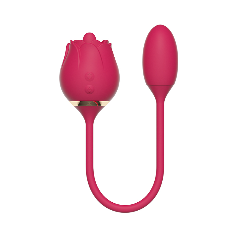 Double Function Vibrator SJ-32007