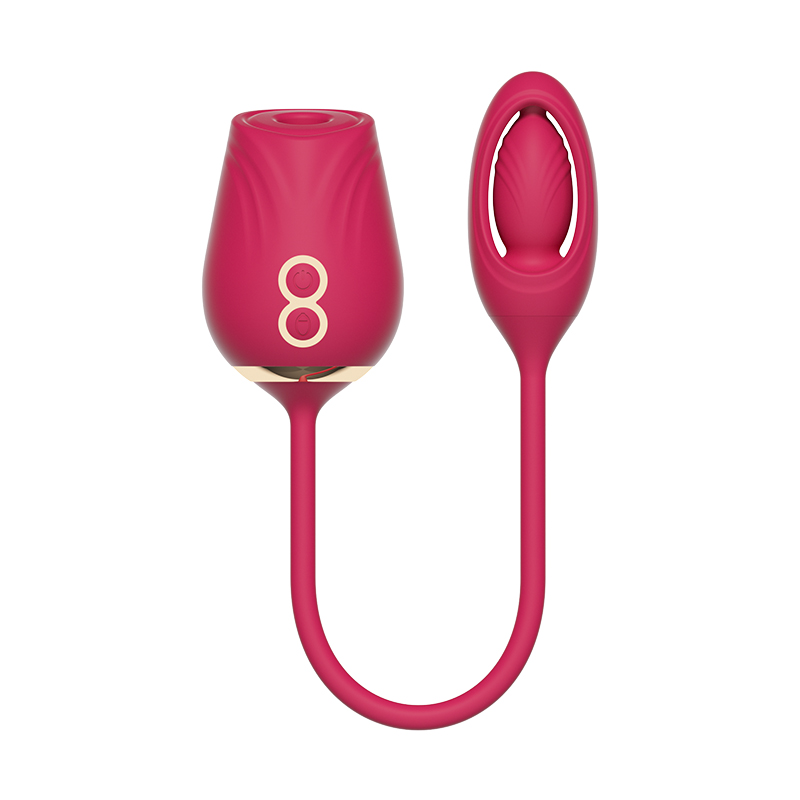 Double Function Vibrator SJ-32006