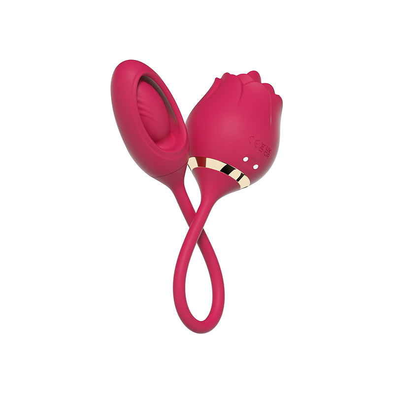 Licking Rose+ Vibrating Egg DPP-23036