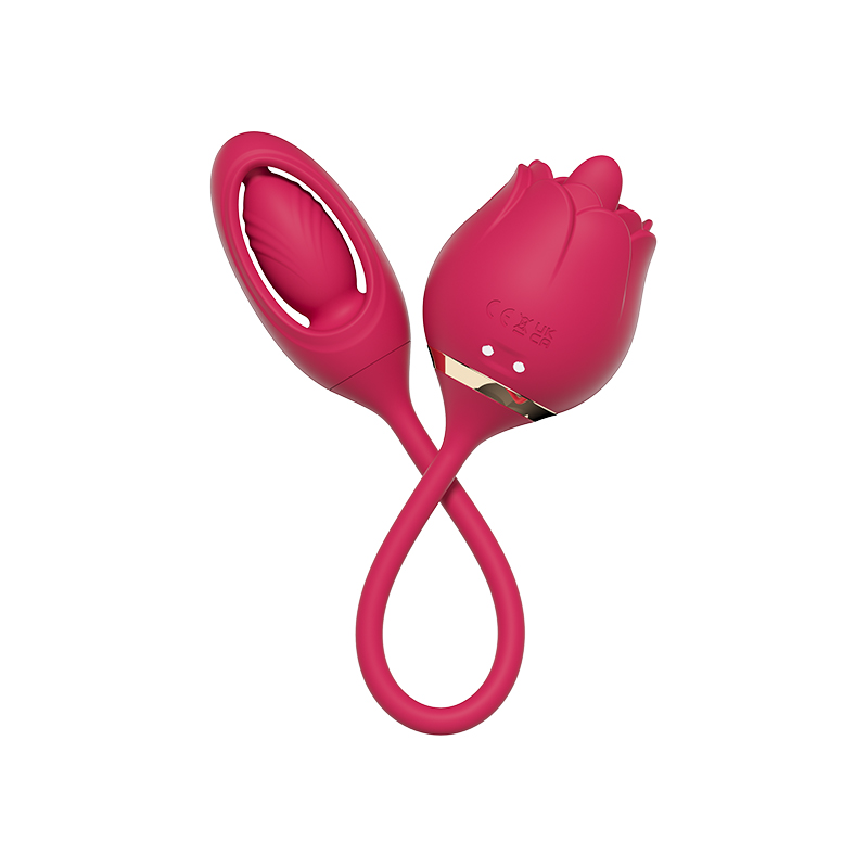 Licking Rose+ Vibrating Egg DPP-23036