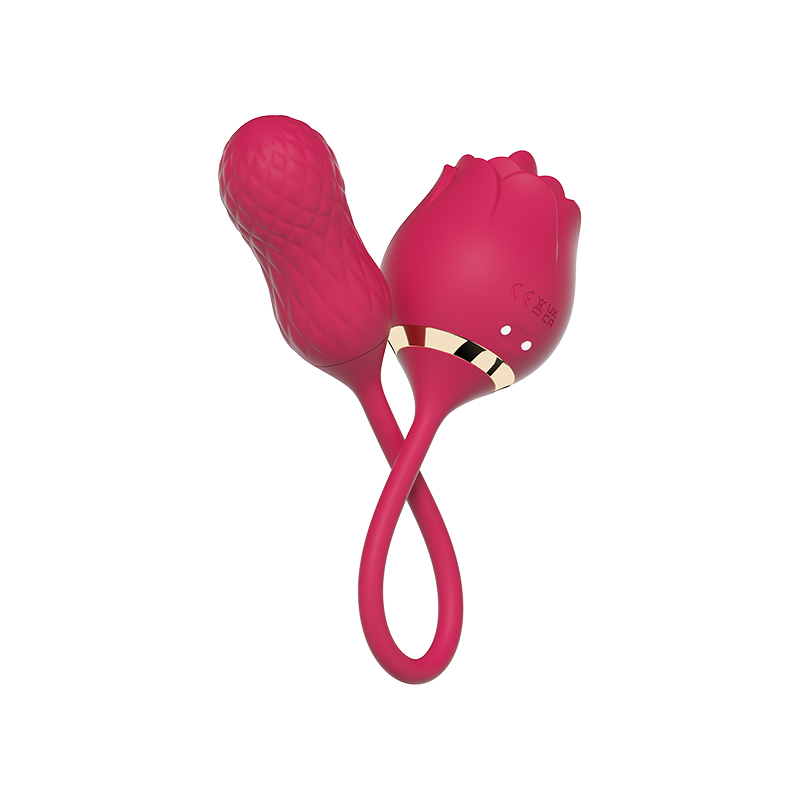 Licking Rose + Vibrating Egg DPP-23034